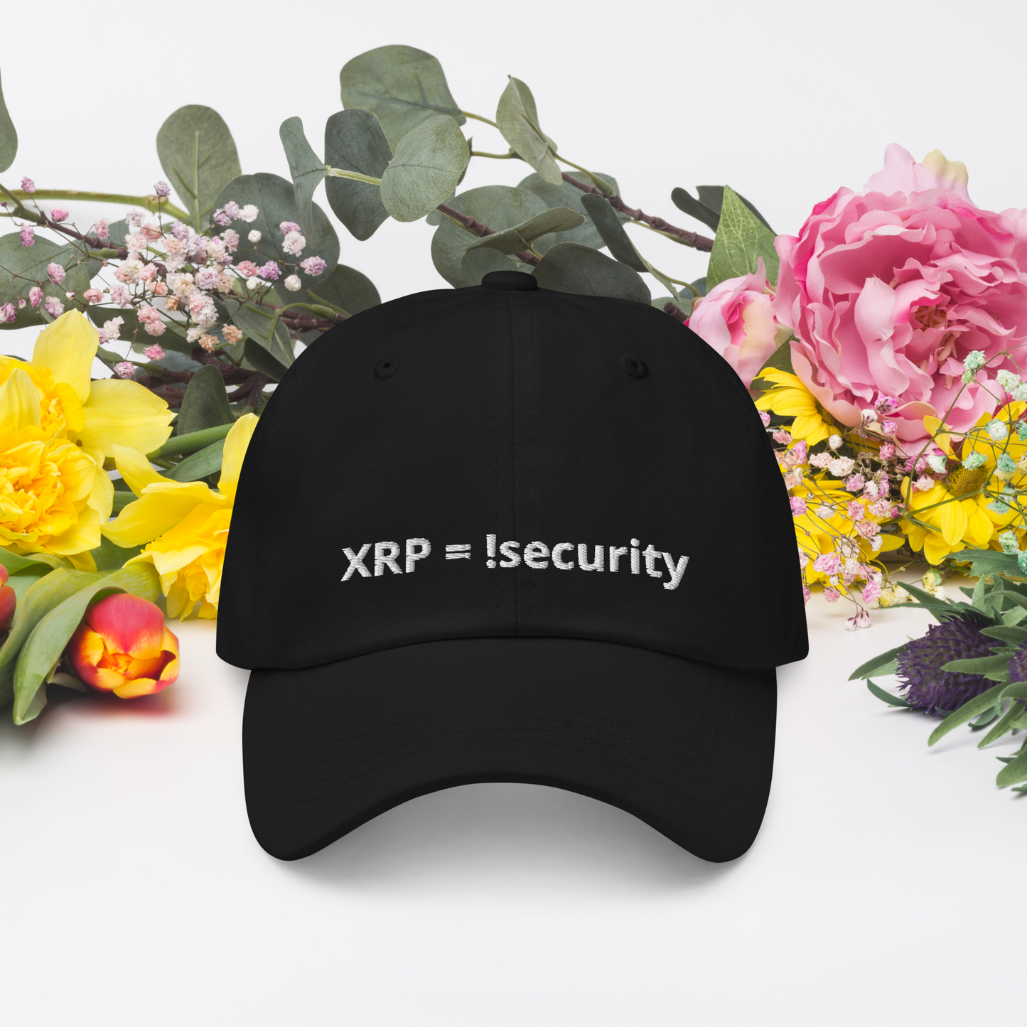 Baseball Cap !security