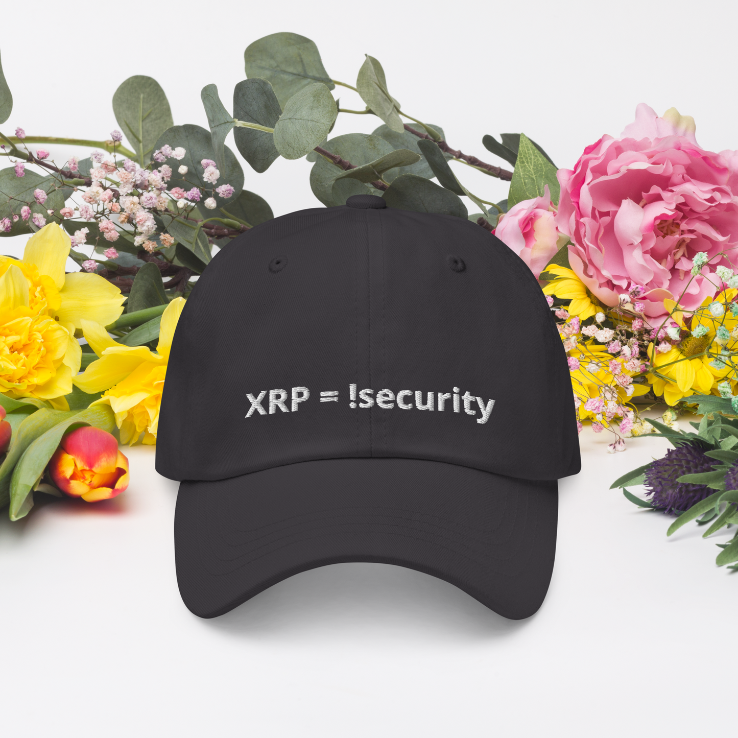 Baseball Cap !security