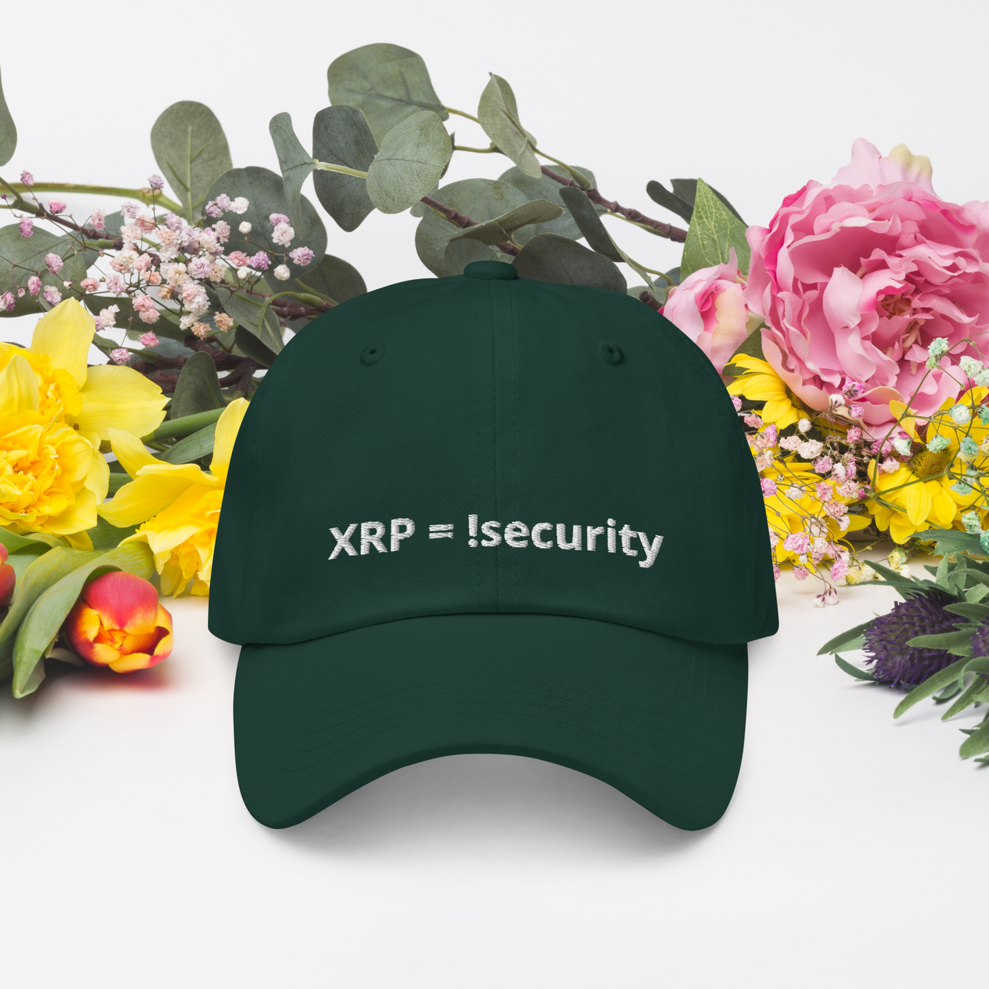 Baseball Cap !security