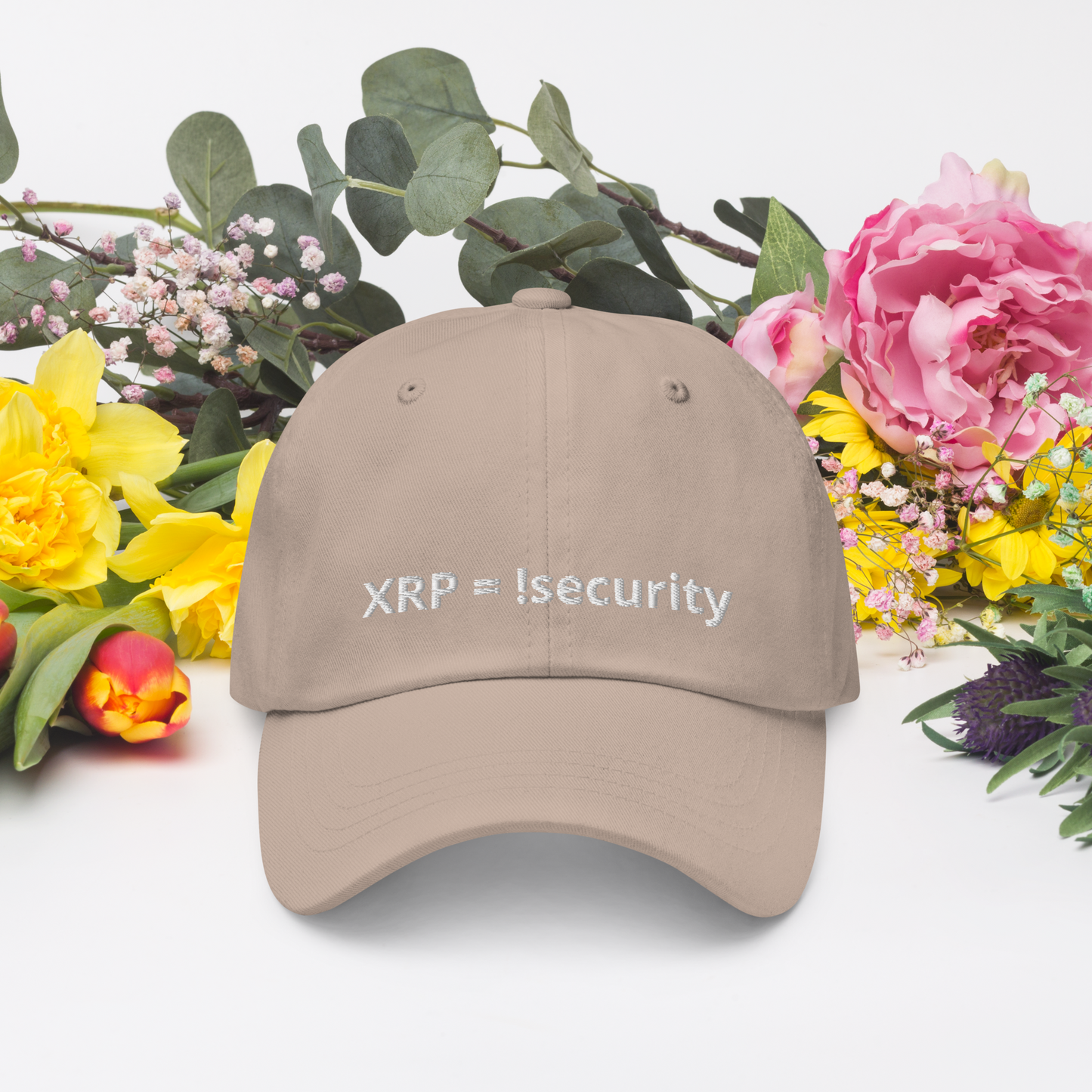 Baseball Cap !security