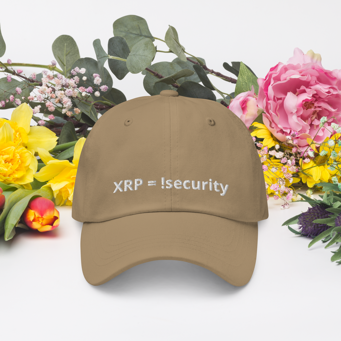 Baseball Cap !security